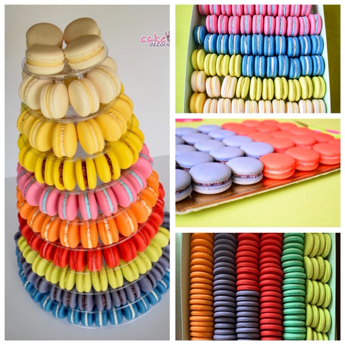 Macarons by Cristophe Felder